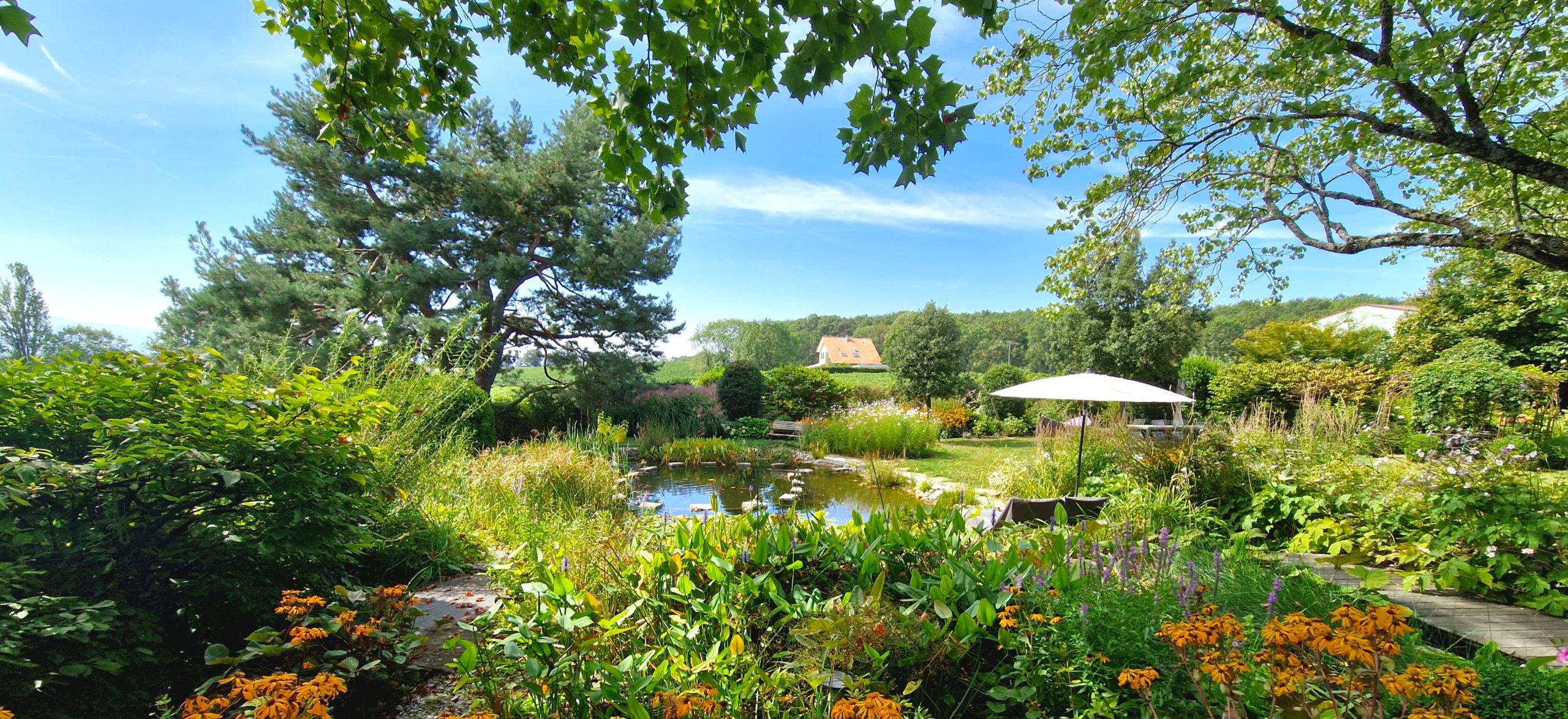 Vue d’un jardin écologique avec bassin naturel, végétation luxuriante, terrasse ombragée et chaise longue en Suisse