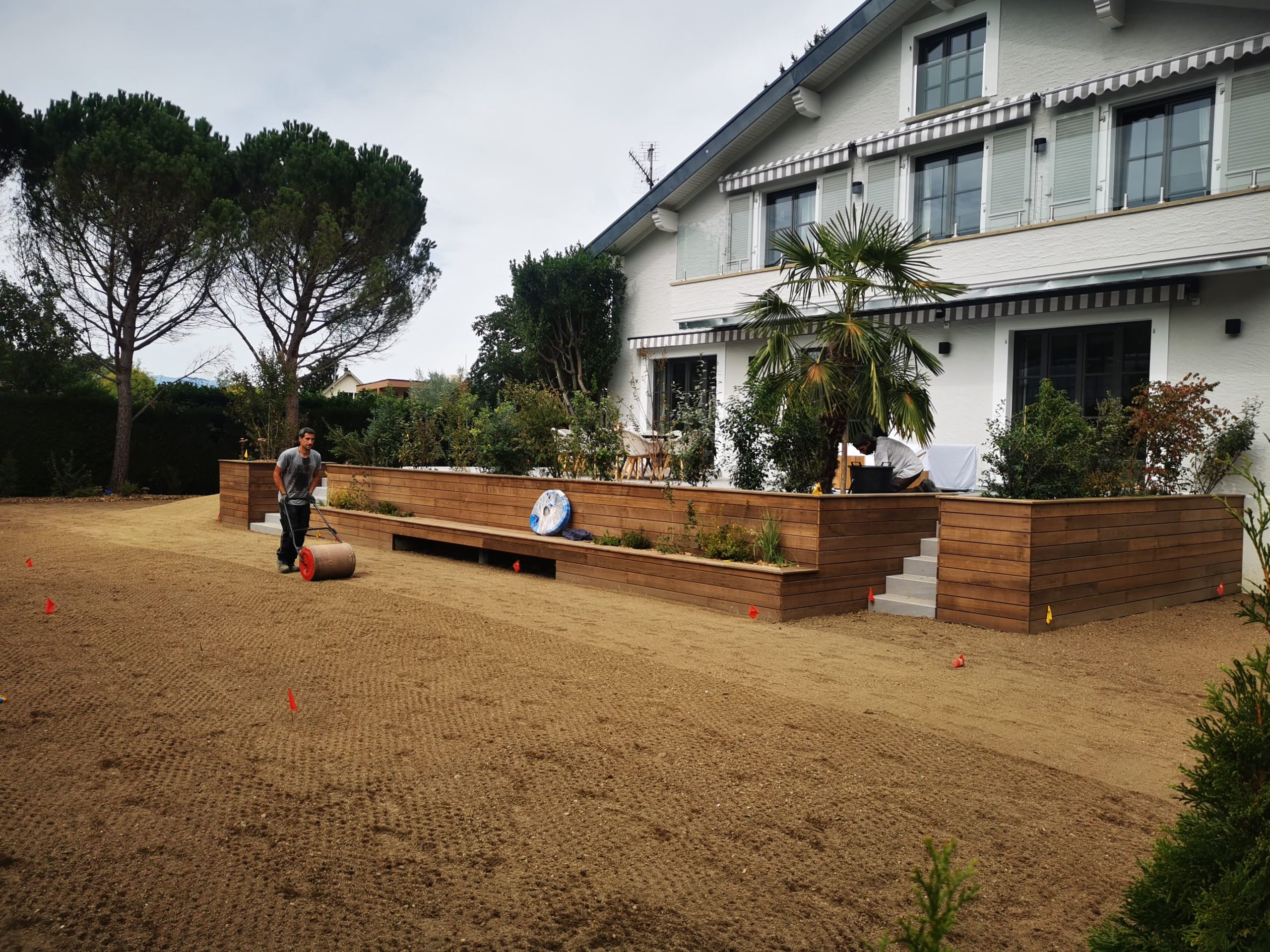 Paysagiste suisse en train de rouler le sol d’un jardin pour l’engazonnement devant une maison moderne avec terrasse en bois