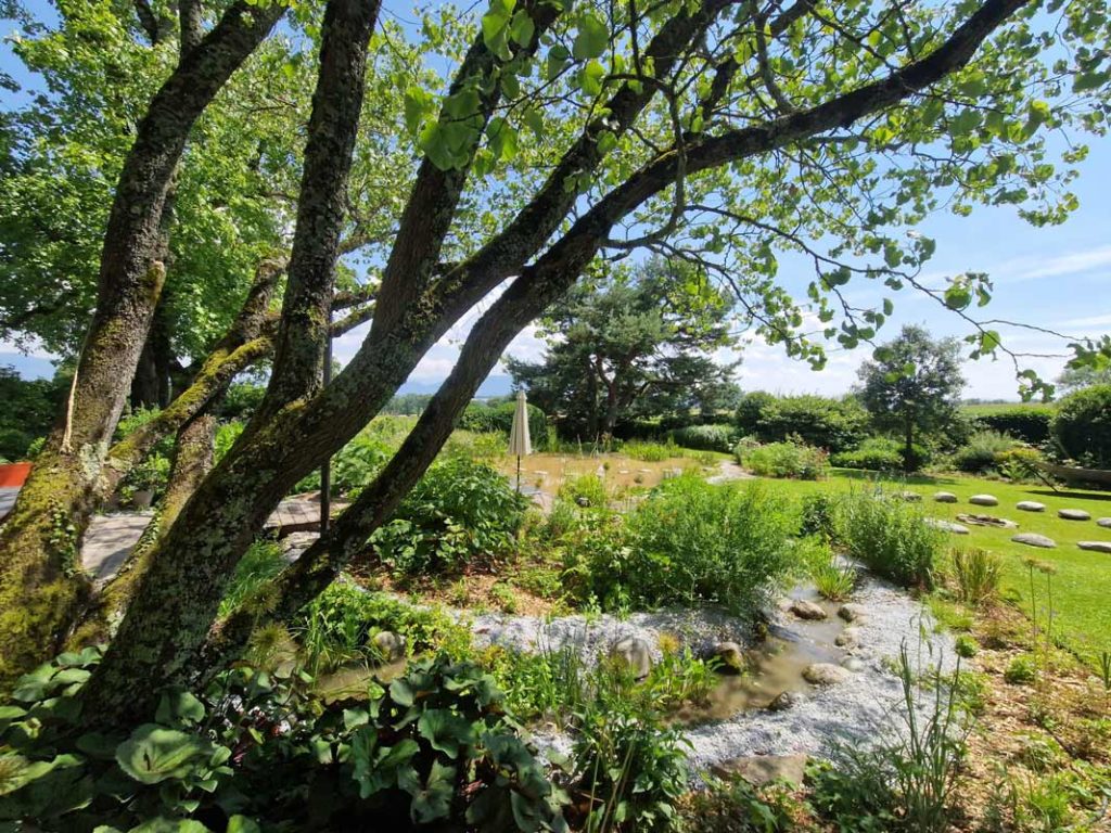 Jardin paysager avec arbre, ruisseau et étang