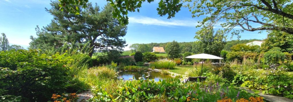 Jardin avec un petit lac