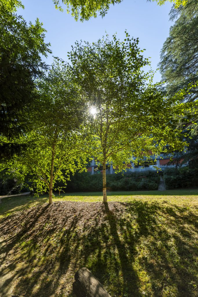 jardin cologny