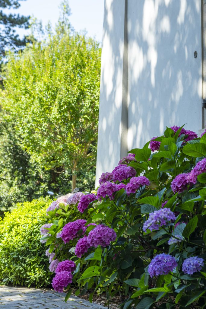 jardiniers geneve