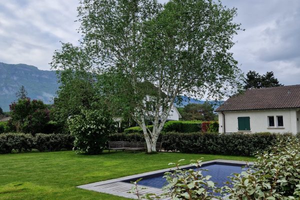 Vue d’un jardin paysager avec pelouse soignée, piscine rectangulaire et grand arbre feuillu, situé en Suisse avec les montagnes en arrière-plan