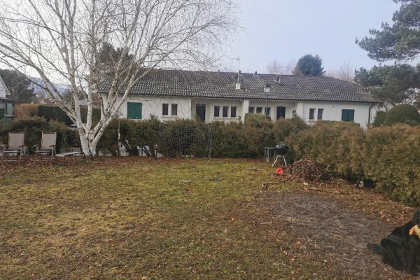 Jardin résidentiel avec pelouse usée, mobilier de jardin, arbre nu et haies, en attente de rénovation paysagère en Suisse